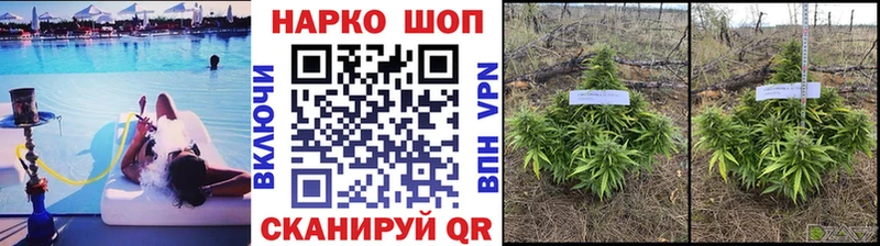 Где можно купить наркотики Хилок АМФЕТАМИН  Бутират  Мефедрон  Конопля  КОКАИН 