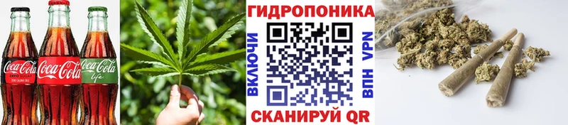 дарнет шоп  Хилок  площадка состав  Cannafood марихуана 