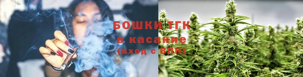 шишки Кострома