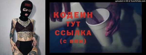 мяу мяу кристалл Корсаков
