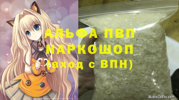 PSILOCYBIN Костерёво