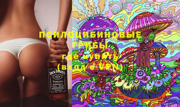 мяу мяу кристалл Корсаков